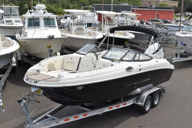 The Image of Stingray 231 DC 2023 - 1