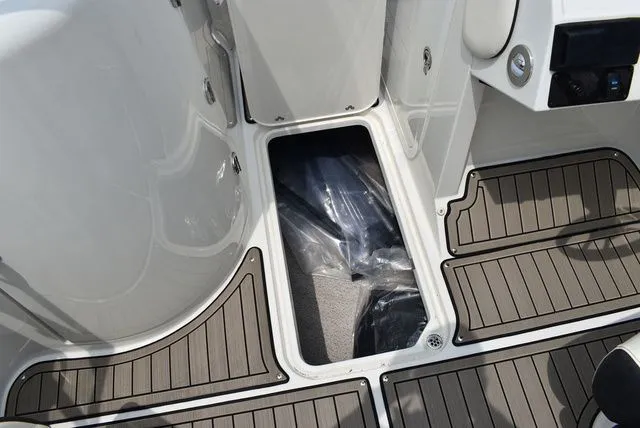 Slide: The Image of Stingray 231 DC 2023 - 37