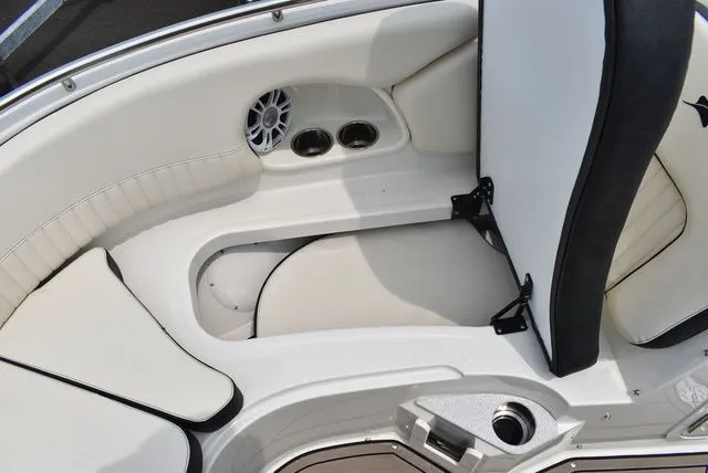 Slide: The Image of Stingray 231 DC 2023 - 51