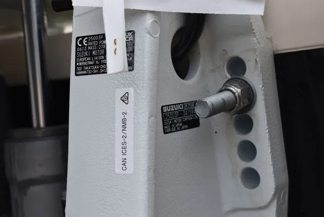 Slide: The Image of Stingray 231 DC 2023 - 54