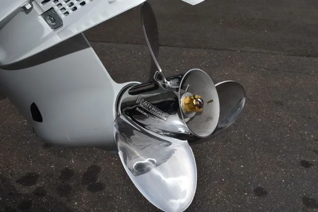 Slide: The Image of Stingray 231 DC 2023 - 55