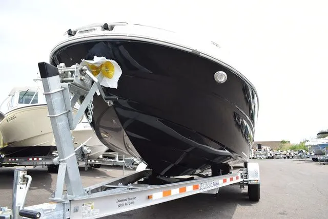 Slide: The Image of Stingray 231 DC 2023 - 58