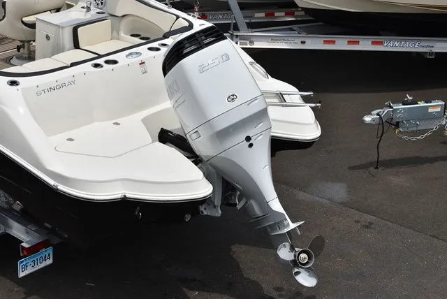 Slide: The Image of Stingray 231 DC 2023 - 6