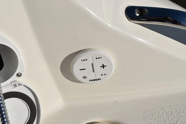 Slide: The Image of Stingray 231 DC 2024 - 24