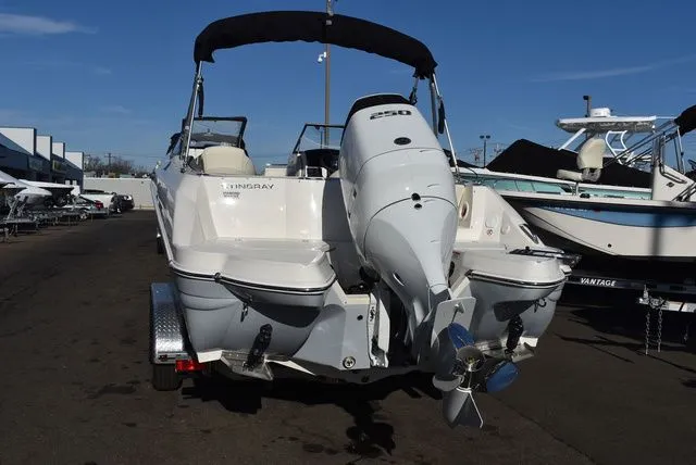 Slide: The Image of Stingray 231 DC 2024 - 7