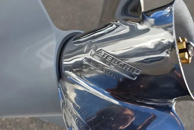 Slide: The Image of Stingray 231 DC 2024 - 77