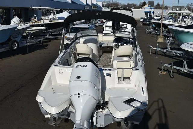 Slide: The Image of Stingray 231 DC 2024 - 9