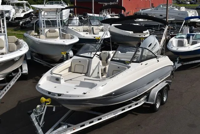 Slide: The Image of Stingray 201 DC 2024 - 2