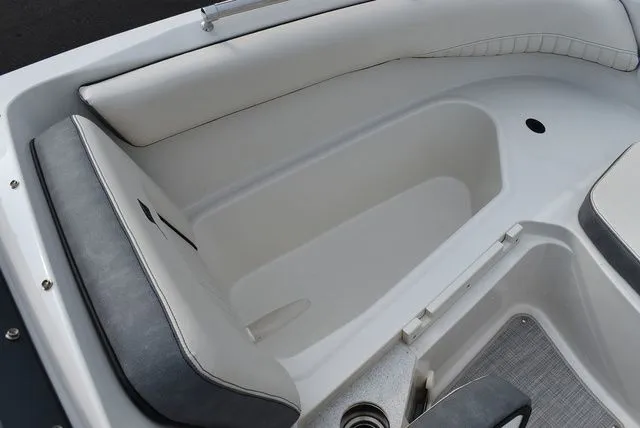 Slide: The Image of Stingray 201 DC 2024 - 51