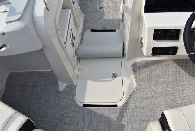 Slide: The Image of Stingray 201 DC 2024 - 64