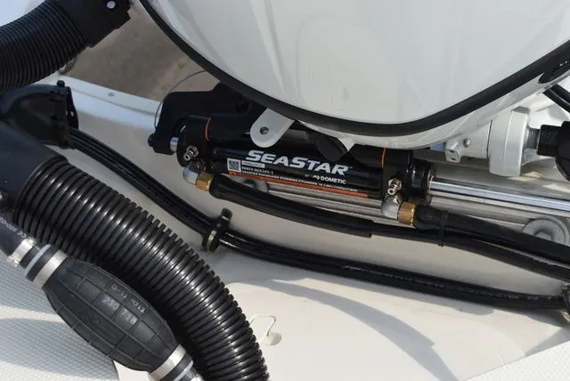 Slide: The Image of Stingray 201 DC 2024 - 67