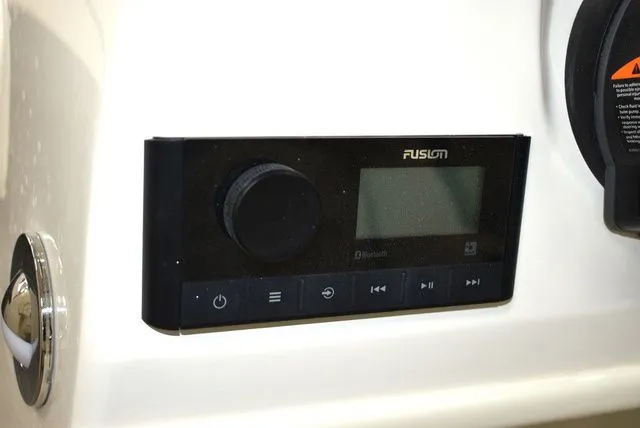 Slide: The Image of Stingray 191DC 2024 - 12