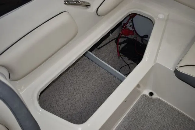 Slide: The Image of Stingray 191DC 2024 - 21