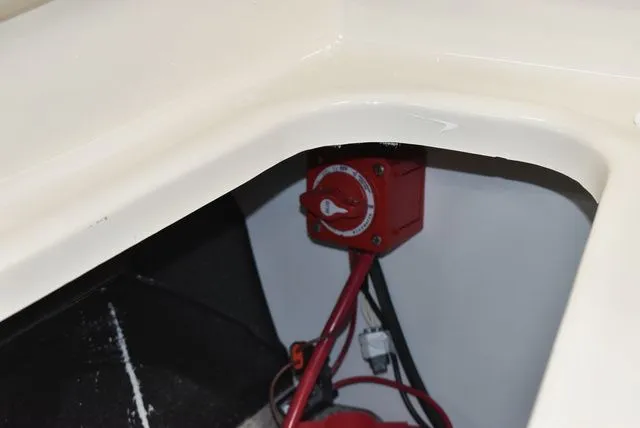 Slide: The Image of Stingray 191DC 2024 - 22