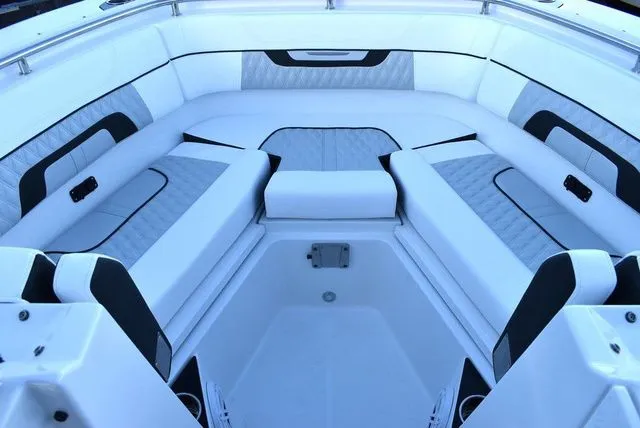 Slide: The Image of Blackfin 272 DC 2024 - 29