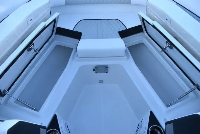 Slide: The Image of Blackfin 272 DC 2024 - 33