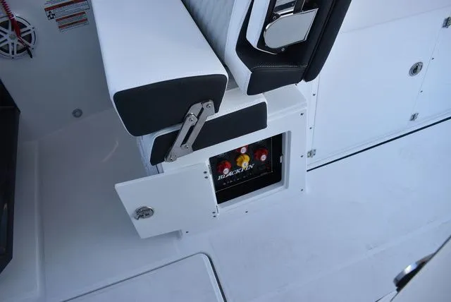 Slide: The Image of Blackfin 272 DC 2024 - 35