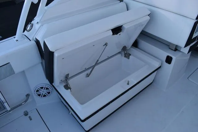 Slide: The Image of Blackfin 272 DC 2024 - 37