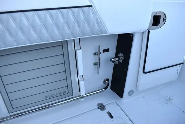 Slide: The Image of Blackfin 272 DC 2024 - 42