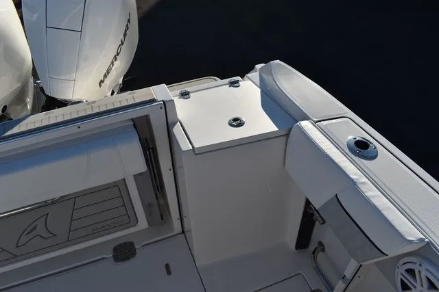 Slide: The Image of Blackfin 252 DC 2024 - 16