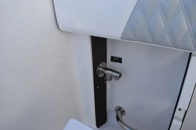 Slide: The Image of Blackfin 252 DC 2024 - 20