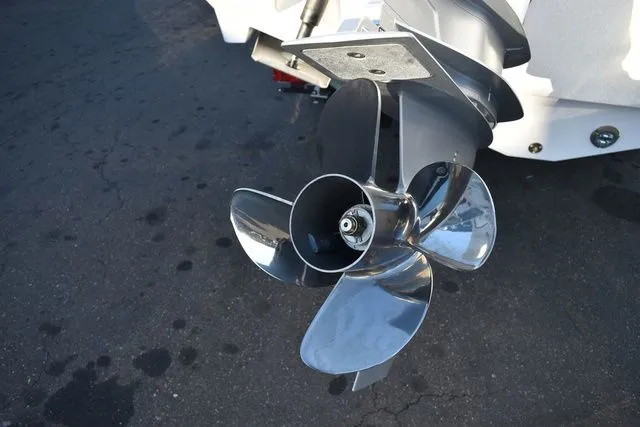 Slide: The Image of Blackfin 252 DC 2024 - 67