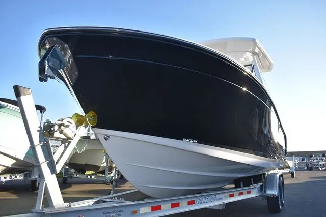 Slide: The Image of Blackfin 252 DC 2024 - 73