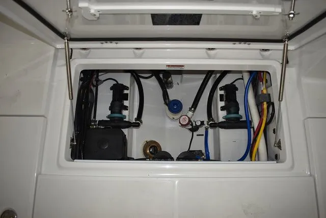 Slide: The Image of Blackfin 252 DC 2025 - 26