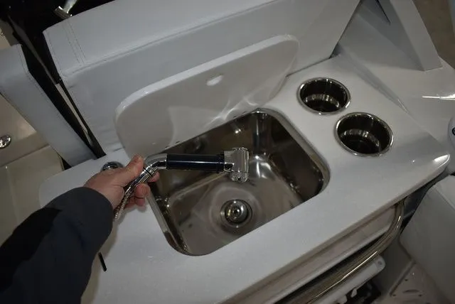 Slide: The Image of Blackfin 252 DC 2025 - 33