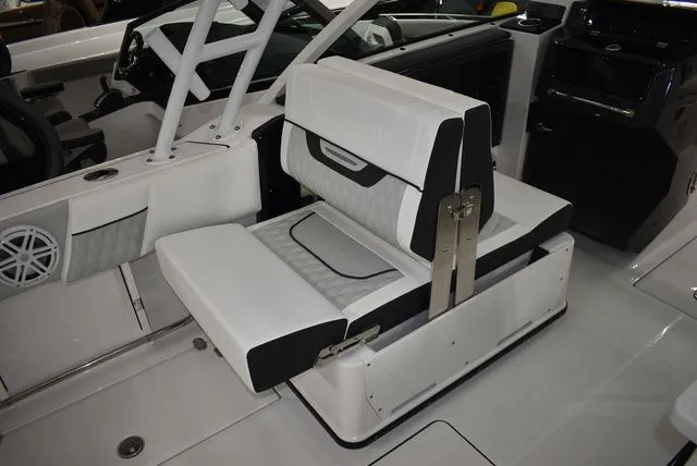 Slide: The Image of Blackfin 252 DC 2025 - 36