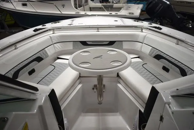 Slide: The Image of Blackfin 252 DC 2025 - 71