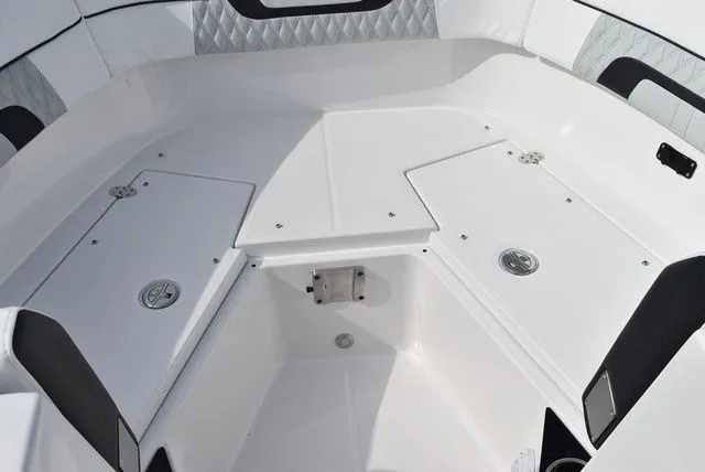 Slide: The Image of Blackfin 272 DC 2025 - 15