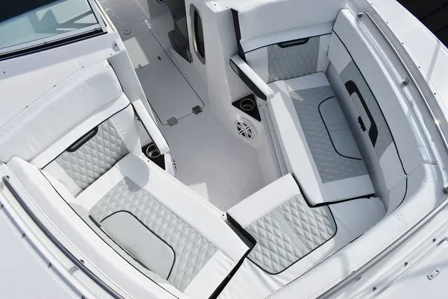 Slide: The Image of Blackfin 272 DC 2025 - 32