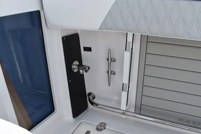 Slide: The Image of Blackfin 272 DC 2025 - 33