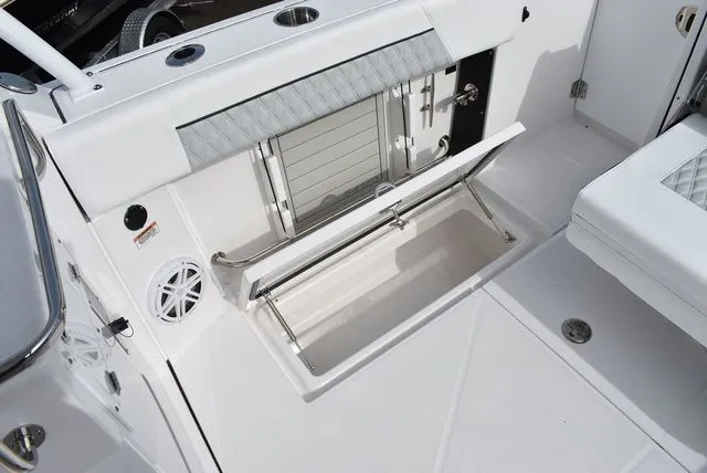 Slide: The Image of Blackfin 272 DC 2025 - 36