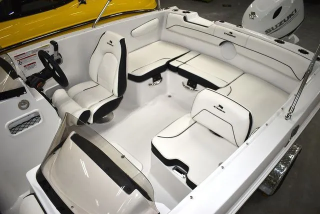 Slide: The Image of Stingray 172 DC 2025 - 14