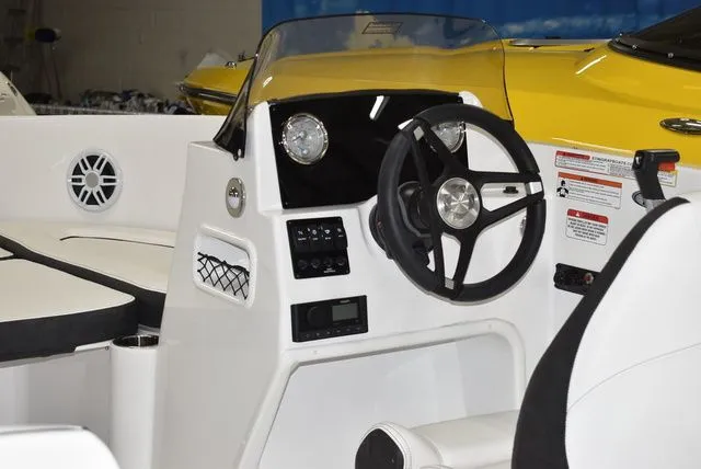 Slide: The Image of Stingray 172 DC 2025 - 17