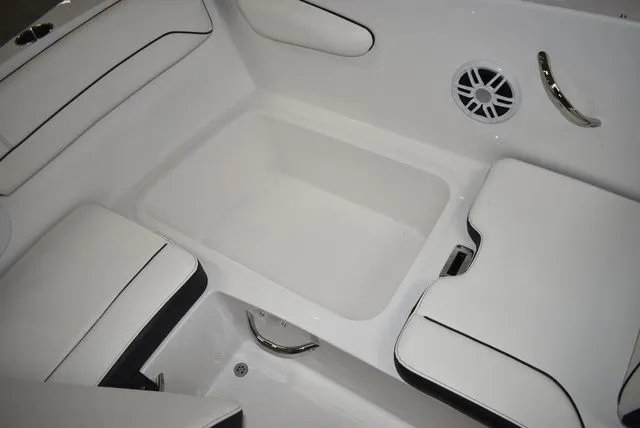 Slide: The Image of Stingray 172 DC 2025 - 24