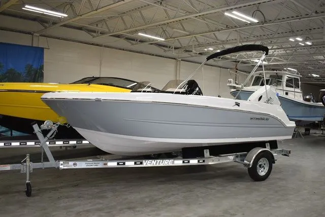 Slide: The Image of Stingray 172 DC 2025 - 3