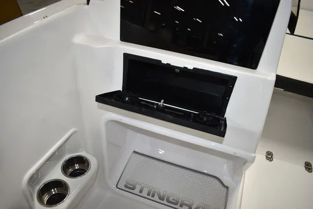 Slide: The Image of Stingray 172 DC 2025 - 33