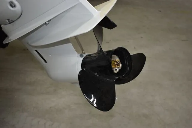 Slide: The Image of Stingray 172 DC 2025 - 46