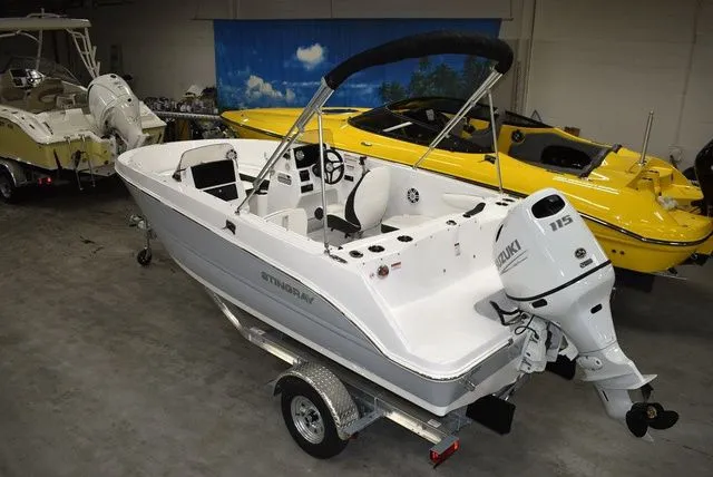 Slide: The Image of Stingray 172 DC 2025 - 5