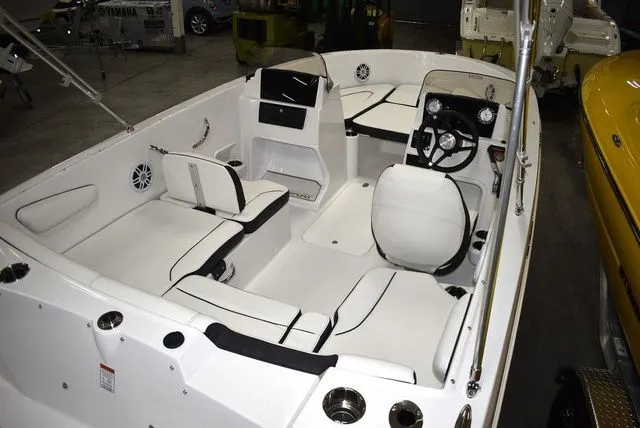 Slide: The Image of Stingray 172 DC 2025 - 8