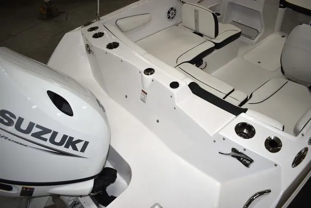 Slide: The Image of Stingray 172 DC 2025 - 9