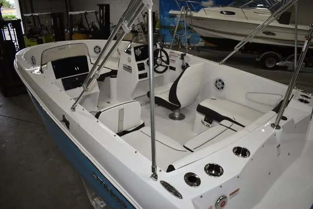 Slide: The Image of Stingray 172 DC 2025 - 12