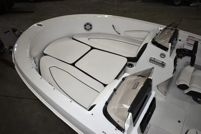 Slide: The Image of Stingray 172 DC 2025 - 15