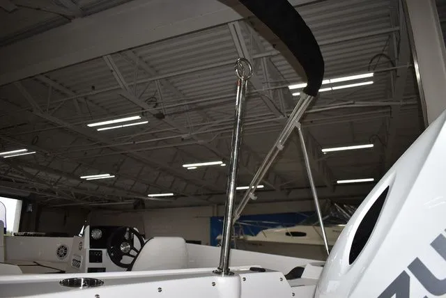 Slide: The Image of Stingray 172 DC 2025 - 17