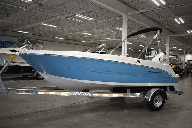 Slide: The Image of Stingray 172 DC 2025 - 3