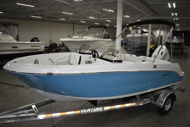 Slide: The Image of Stingray 172 DC 2025 - 4