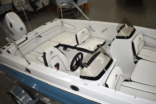 Slide: The Image of Stingray 172 DC 2025 - 7